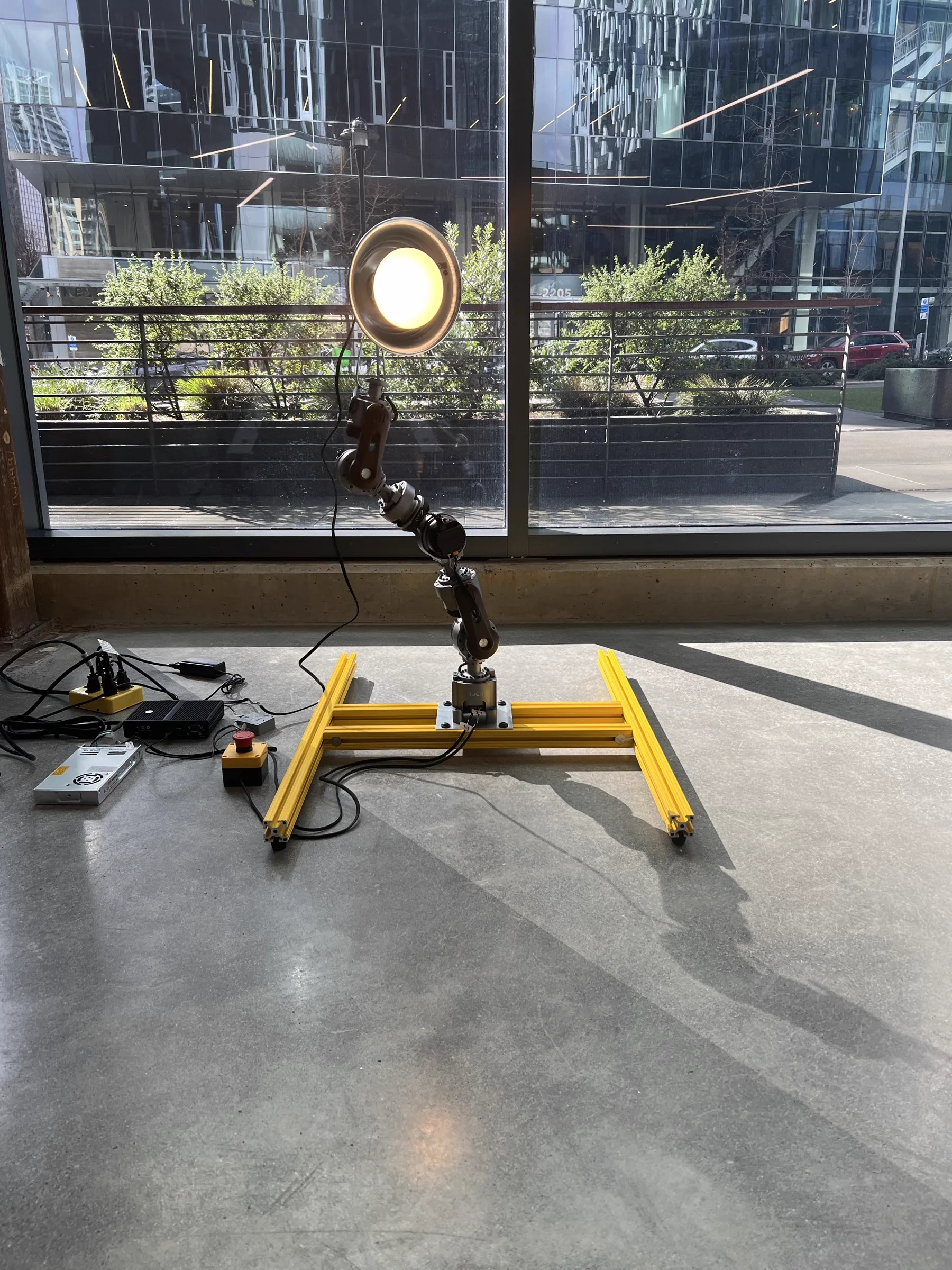 Waldorf with industrial lamp in golden afternoon light at the front window