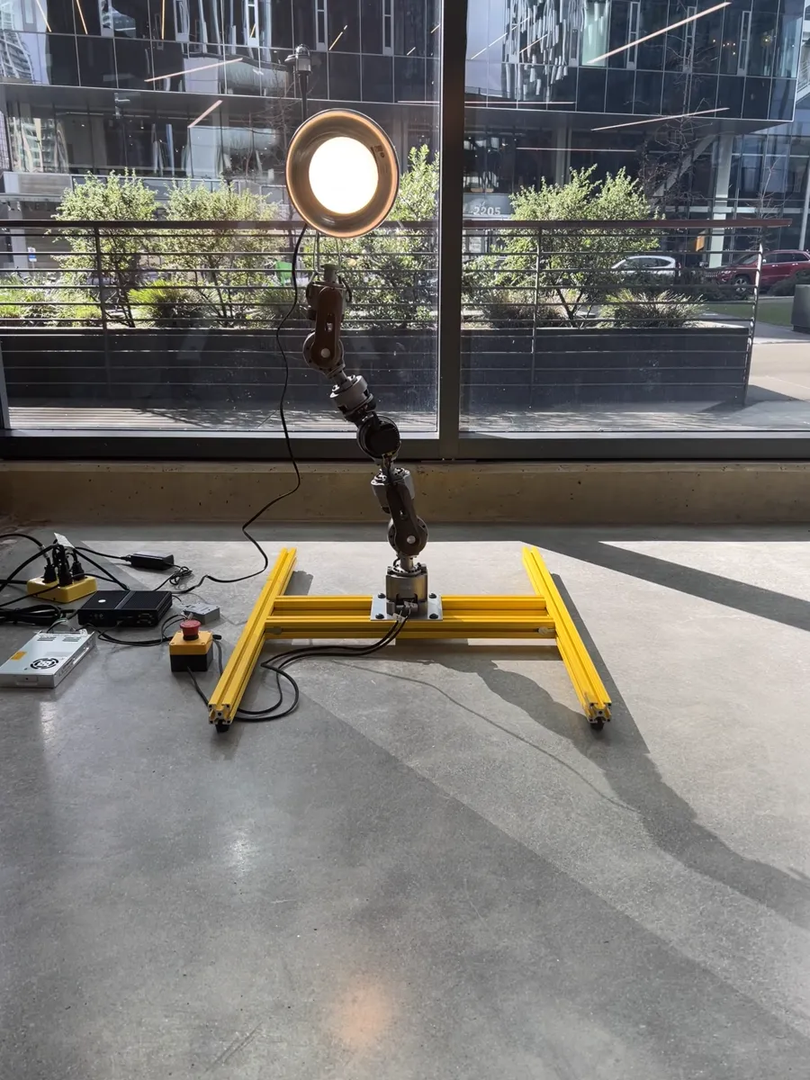 Waldorf with industrial lamp in golden afternoon light at the front window
